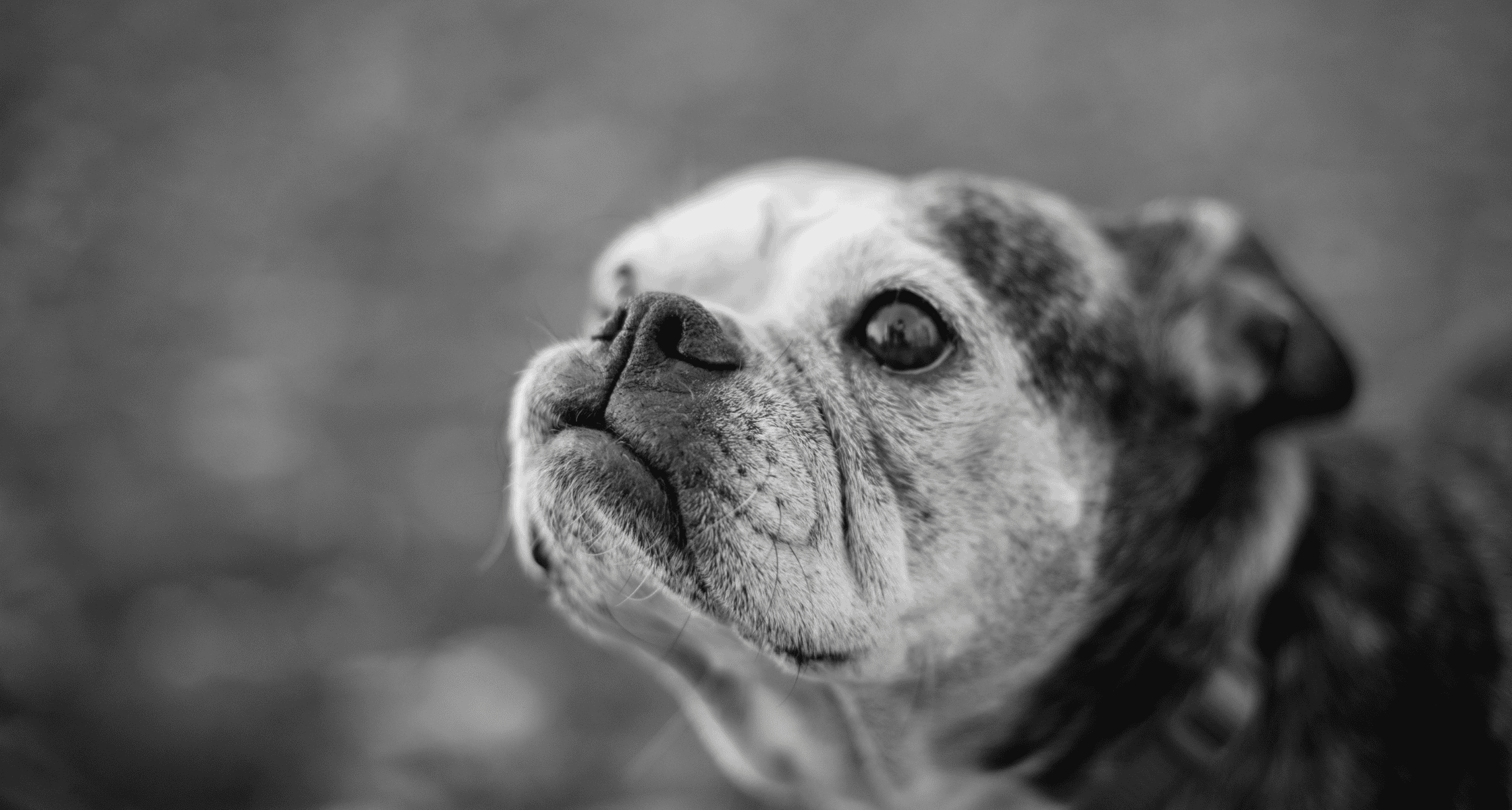 Memorial Fund Slide 2023